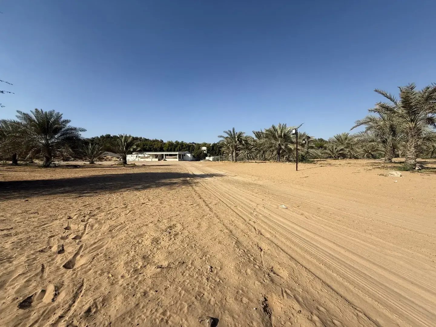 Al Zahia M